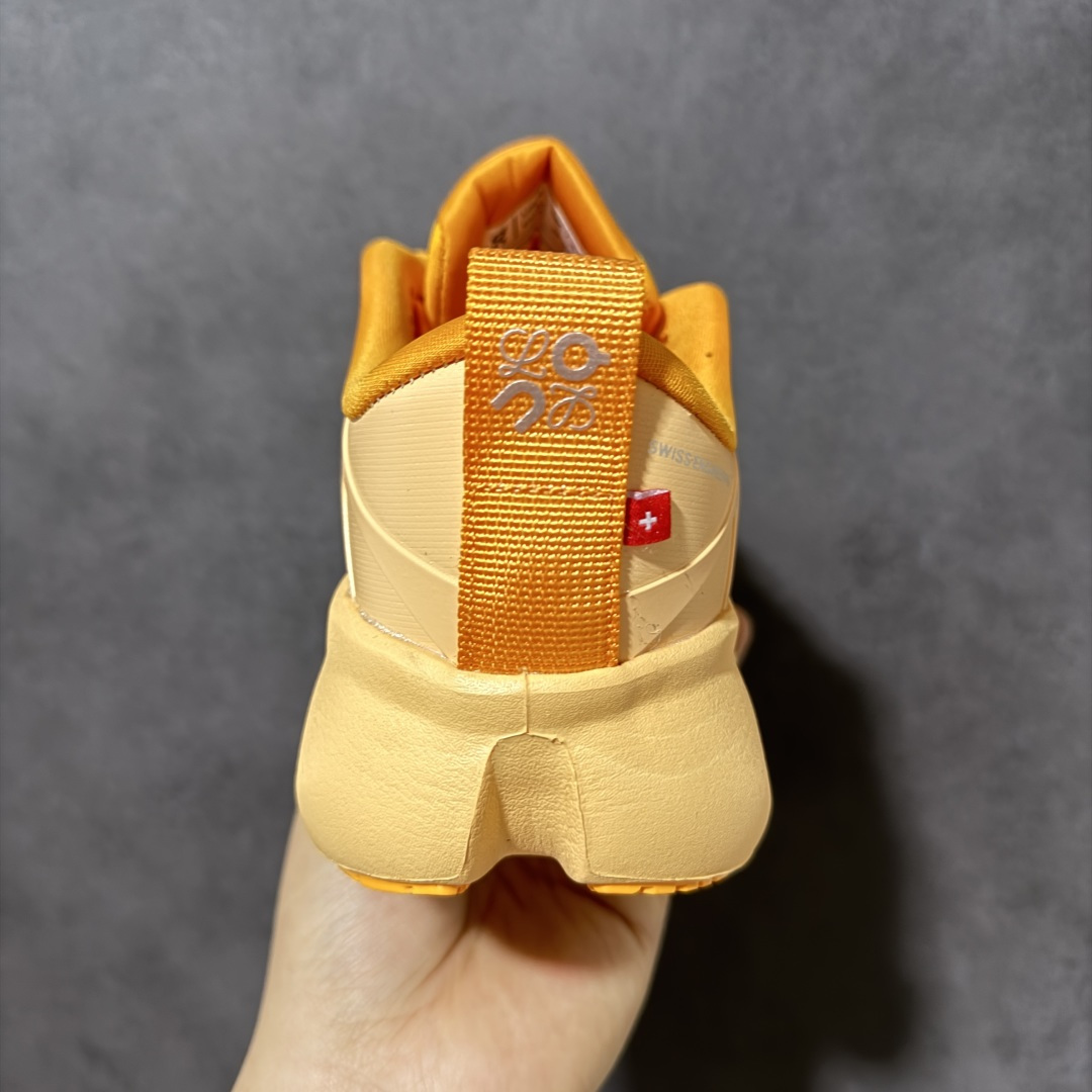 Loewe shoe