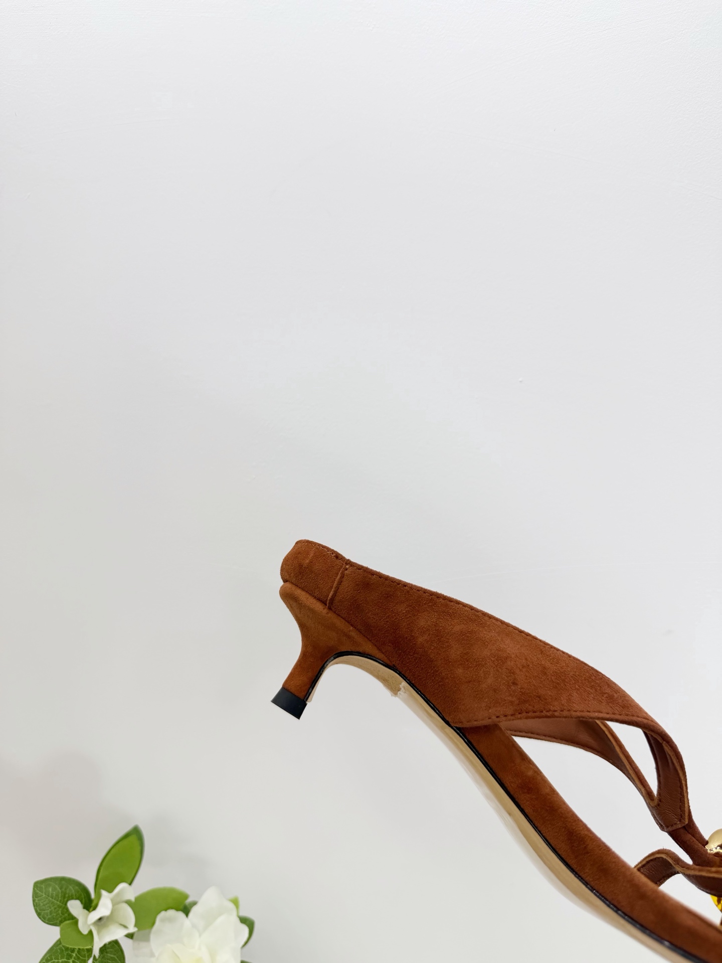 Women's shoes collection