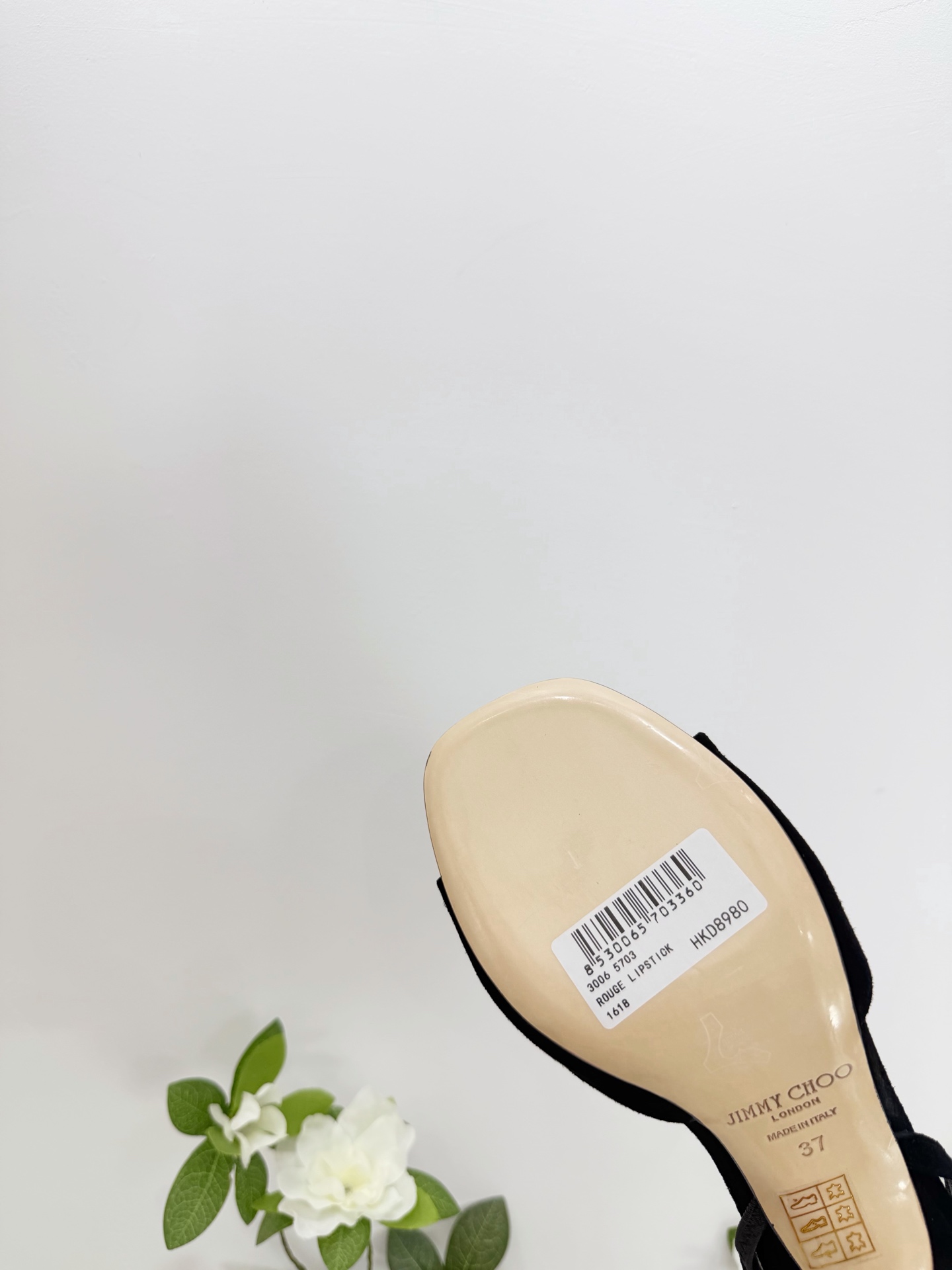 Women's shoes collection