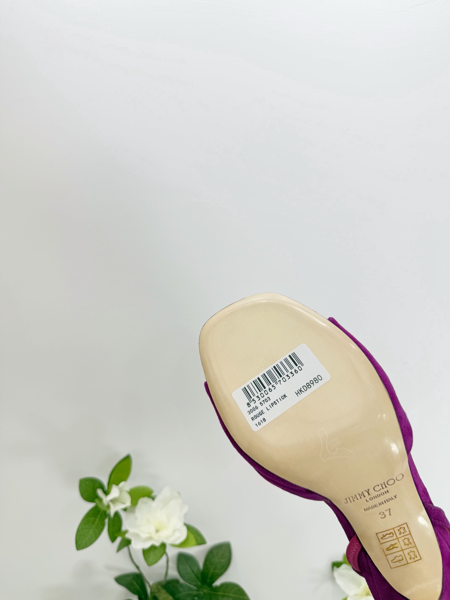 Women's shoes collection