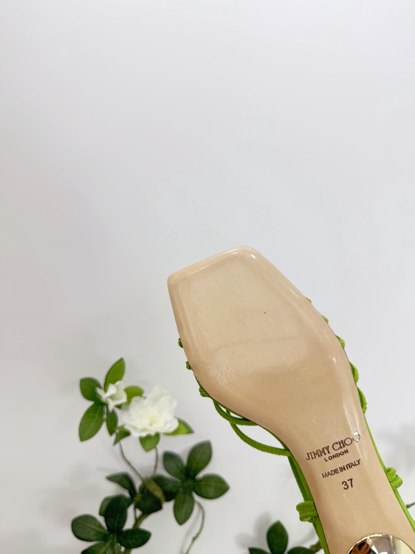 Women's shoes collection