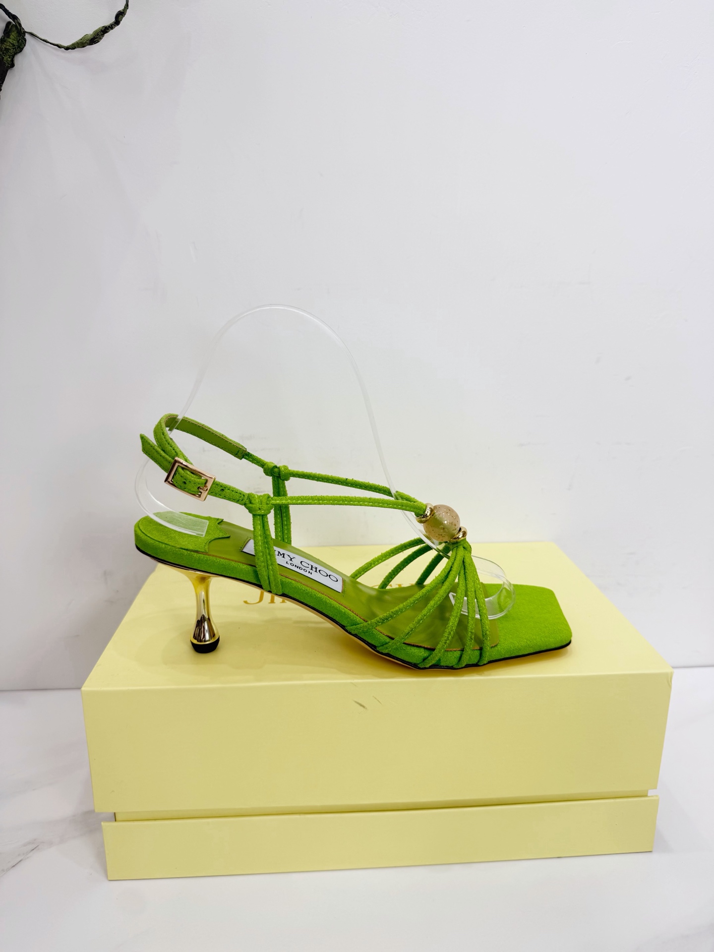 Women's shoes collection