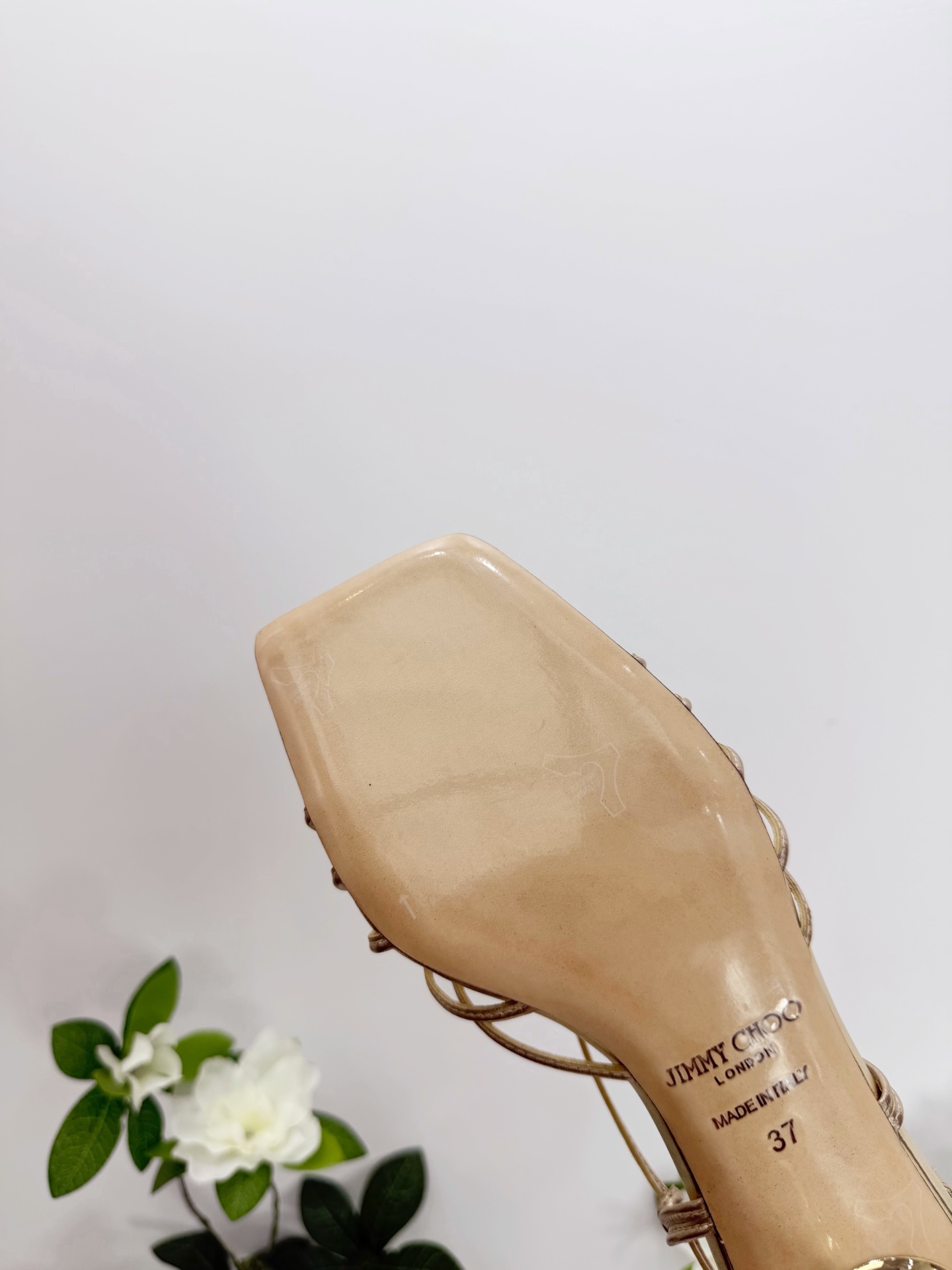 Women's shoes collection