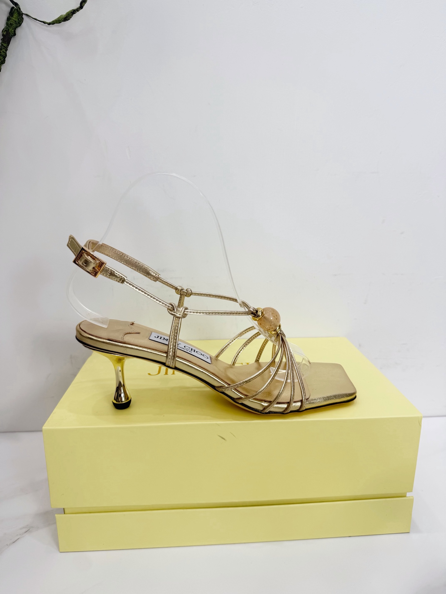 Women's shoes collection
