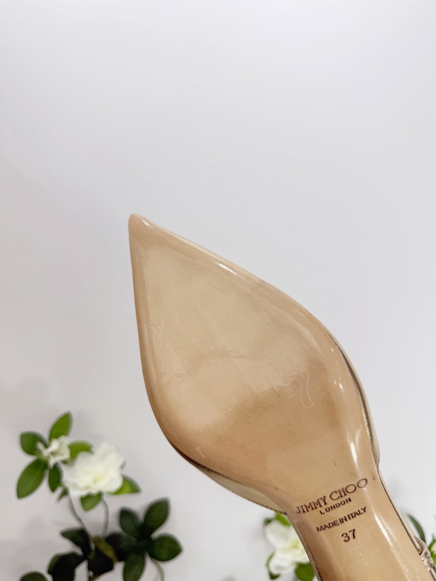 Women's shoes collection