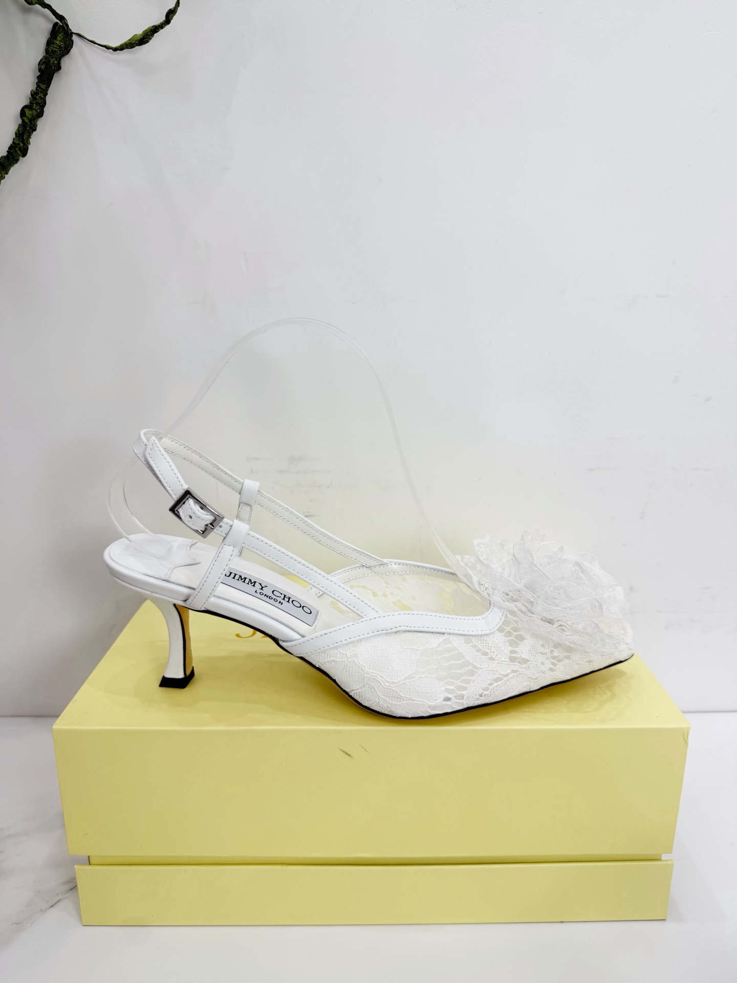 Women's shoes collection