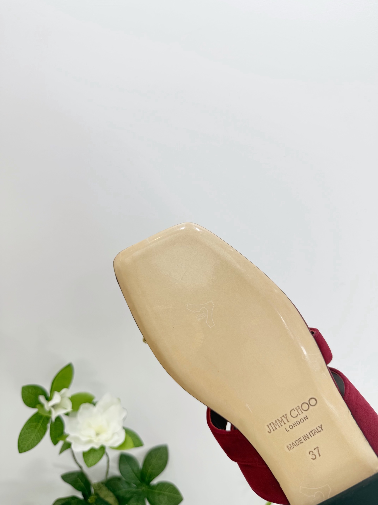 Women's shoes collection