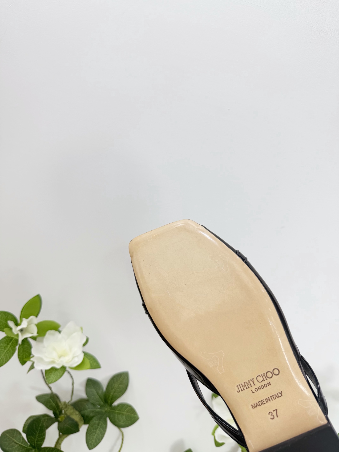 Women's shoes collection