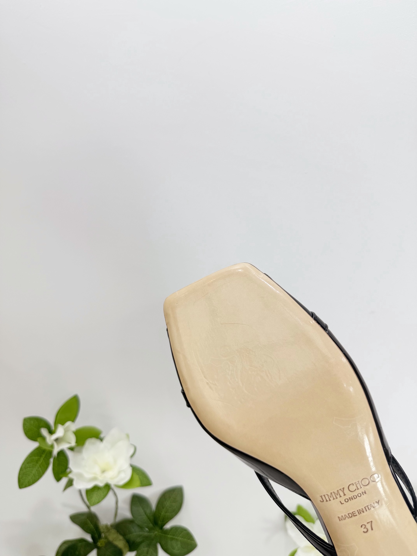 Women's shoes collection