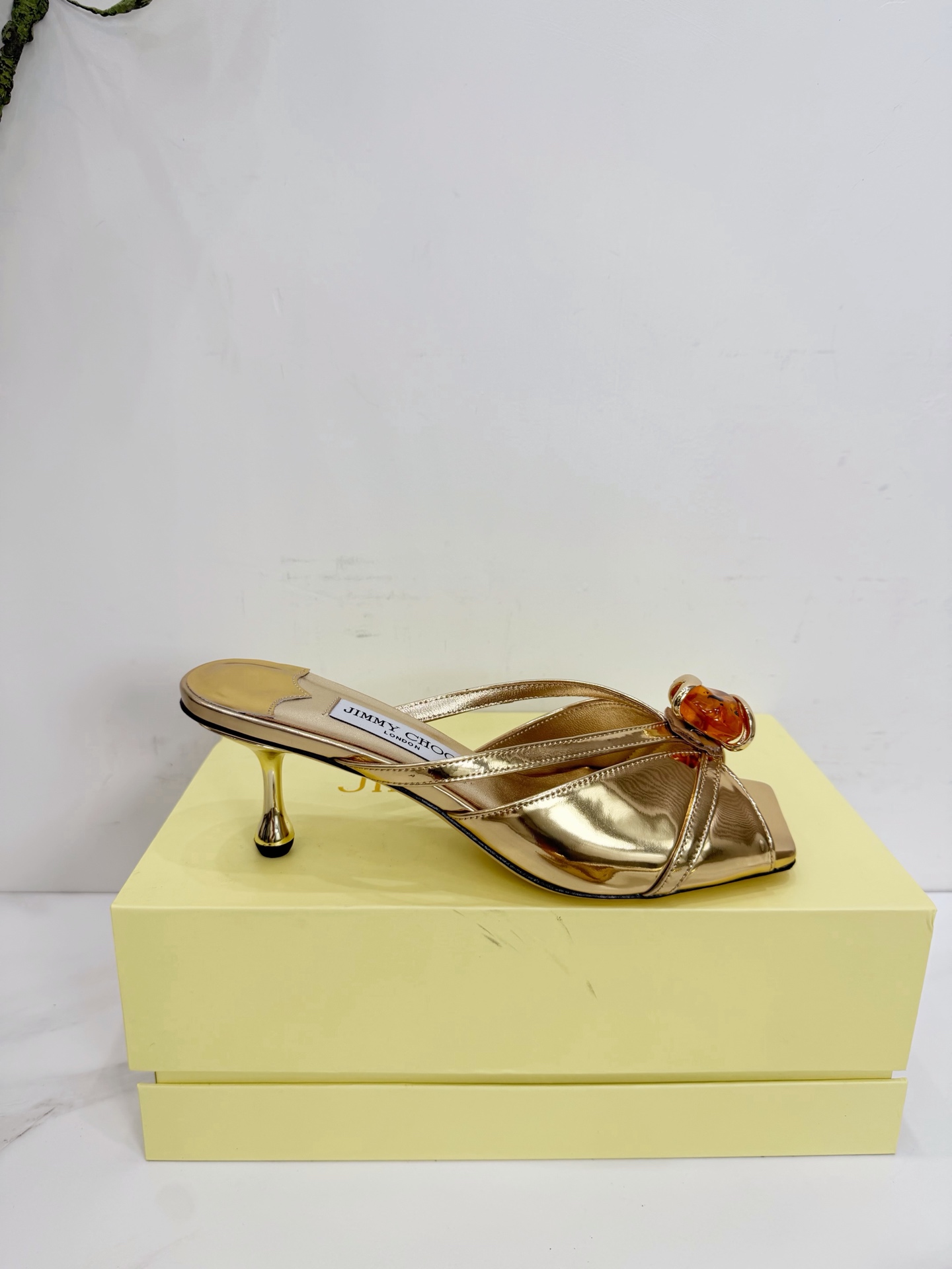 Women's shoes collection