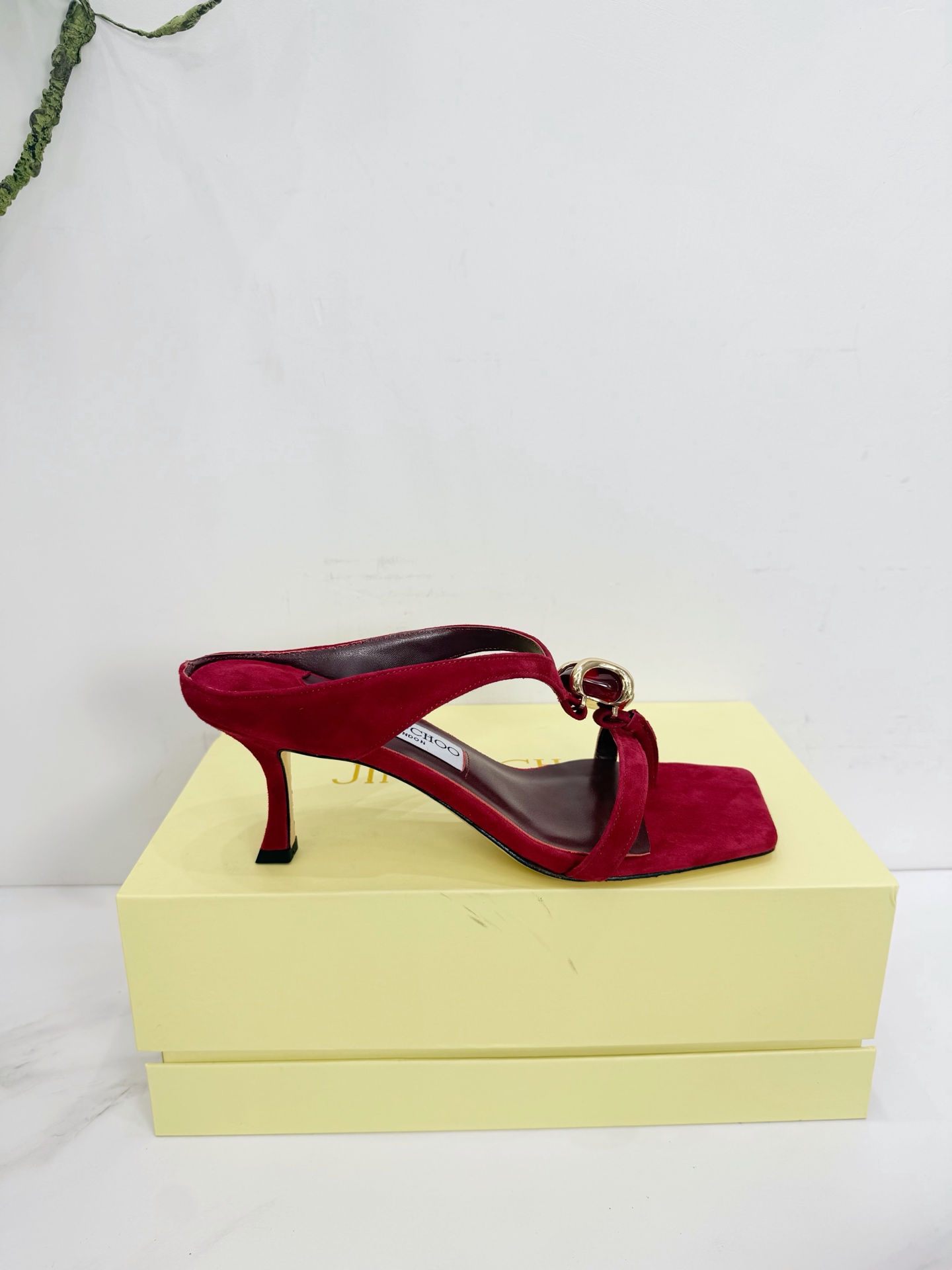 Women's shoes collection