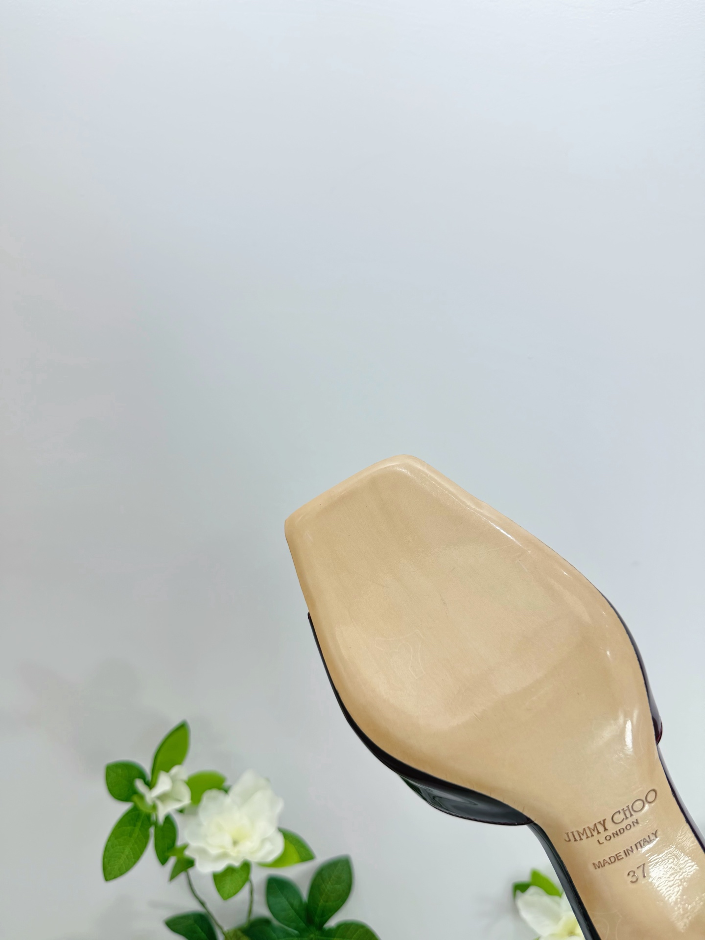 Women's shoes collection