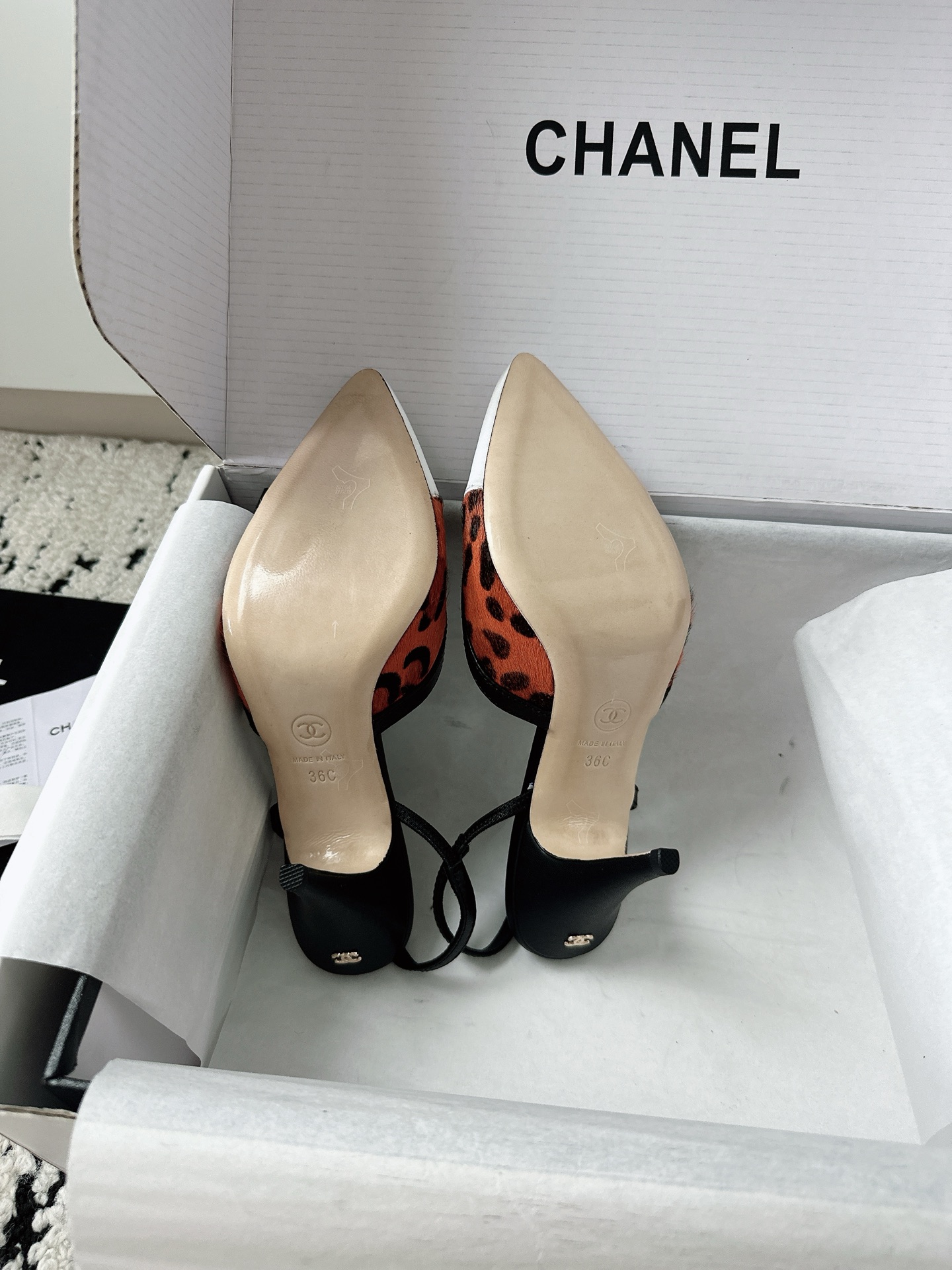 Women's shoes collection