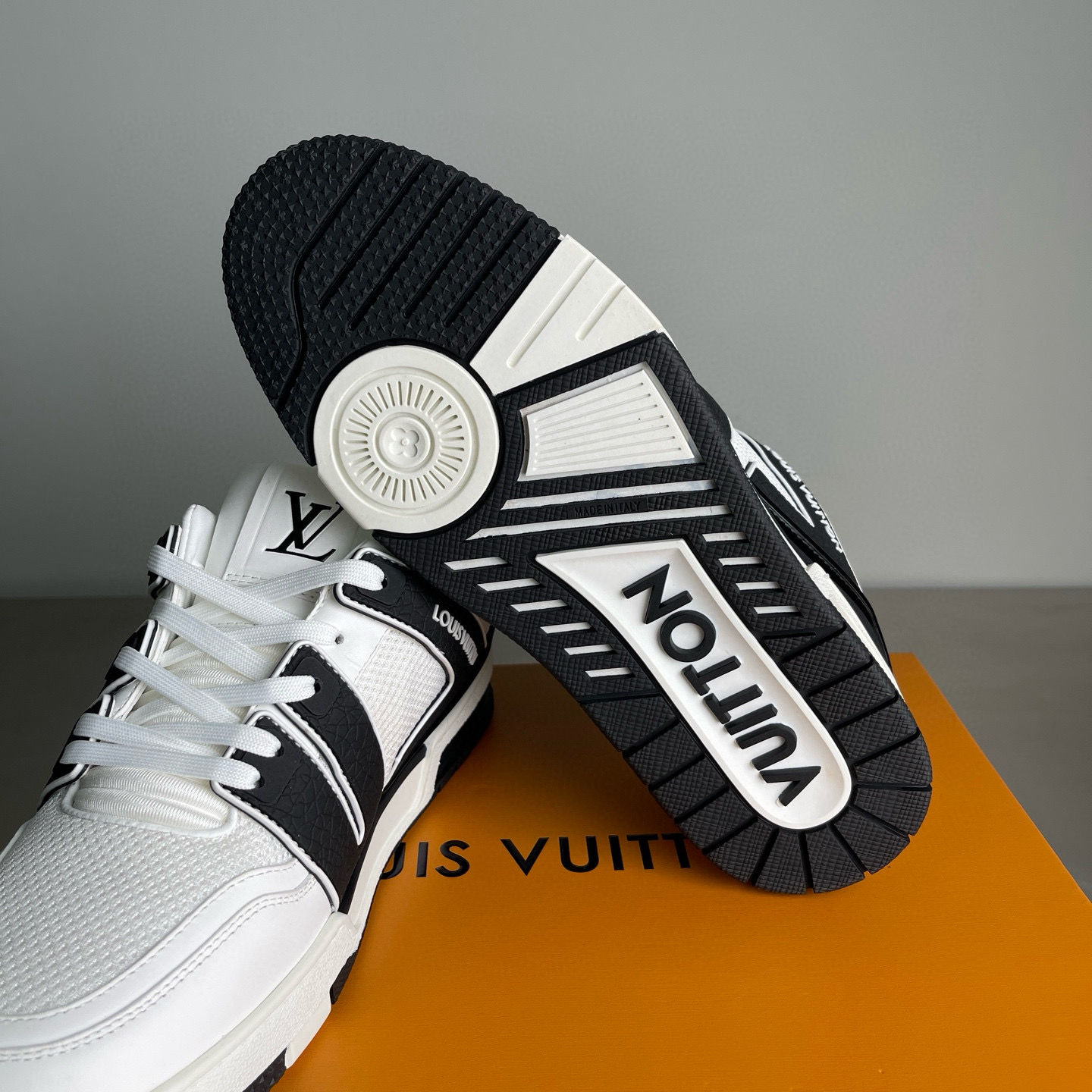 LV shoe