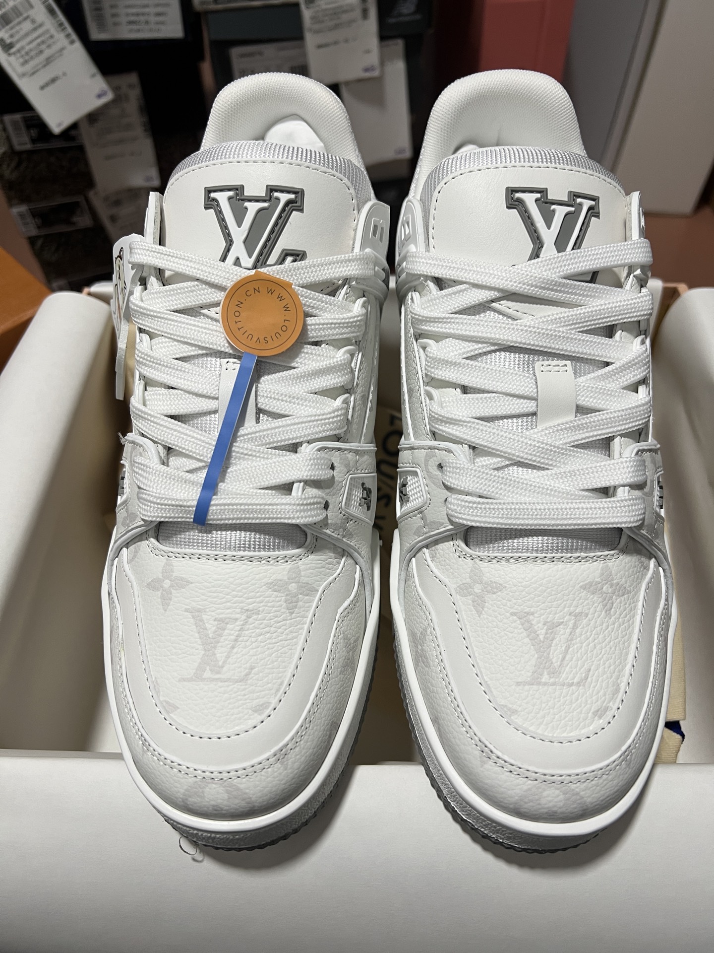 LV shoe