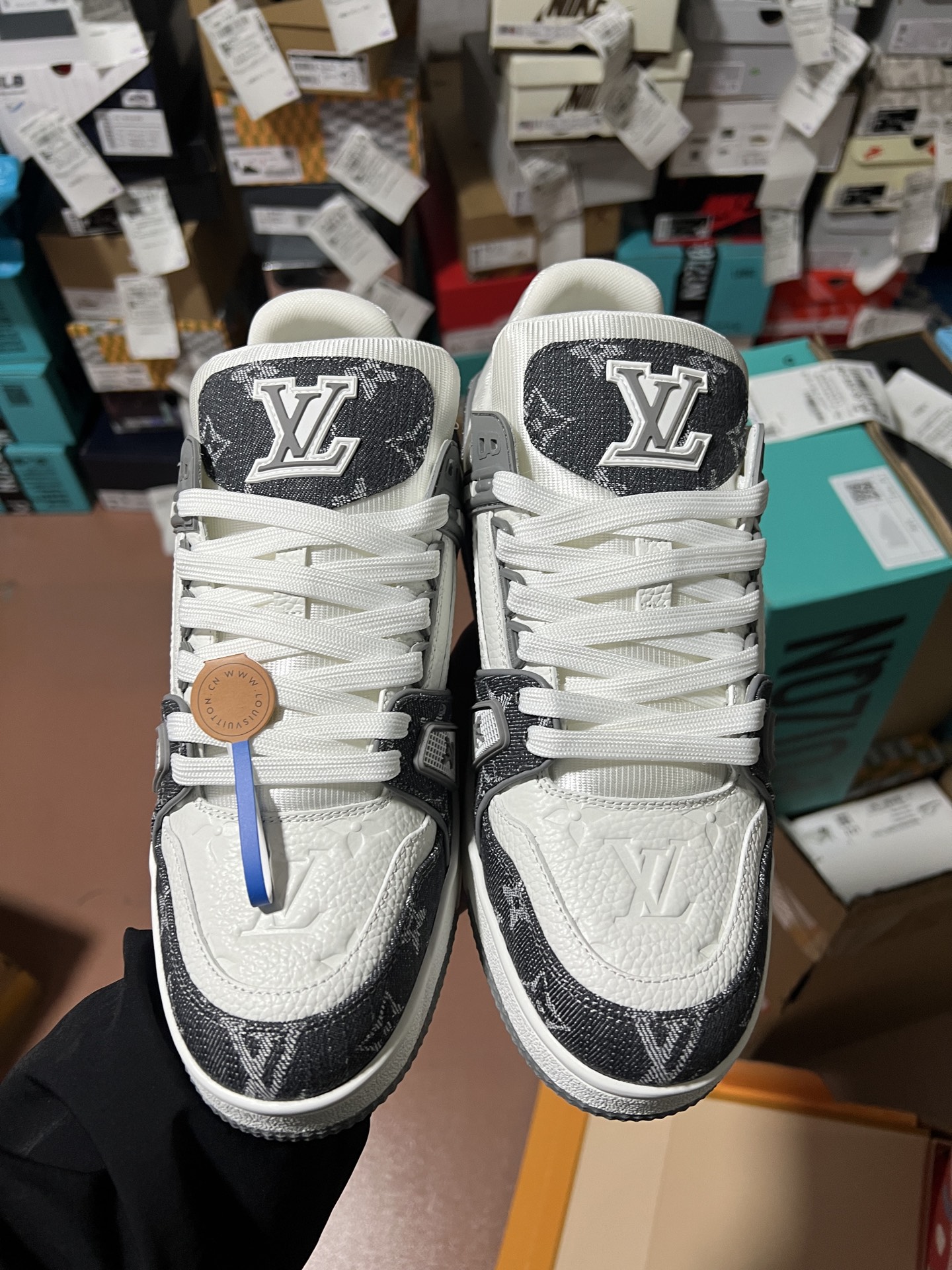 LV shoe