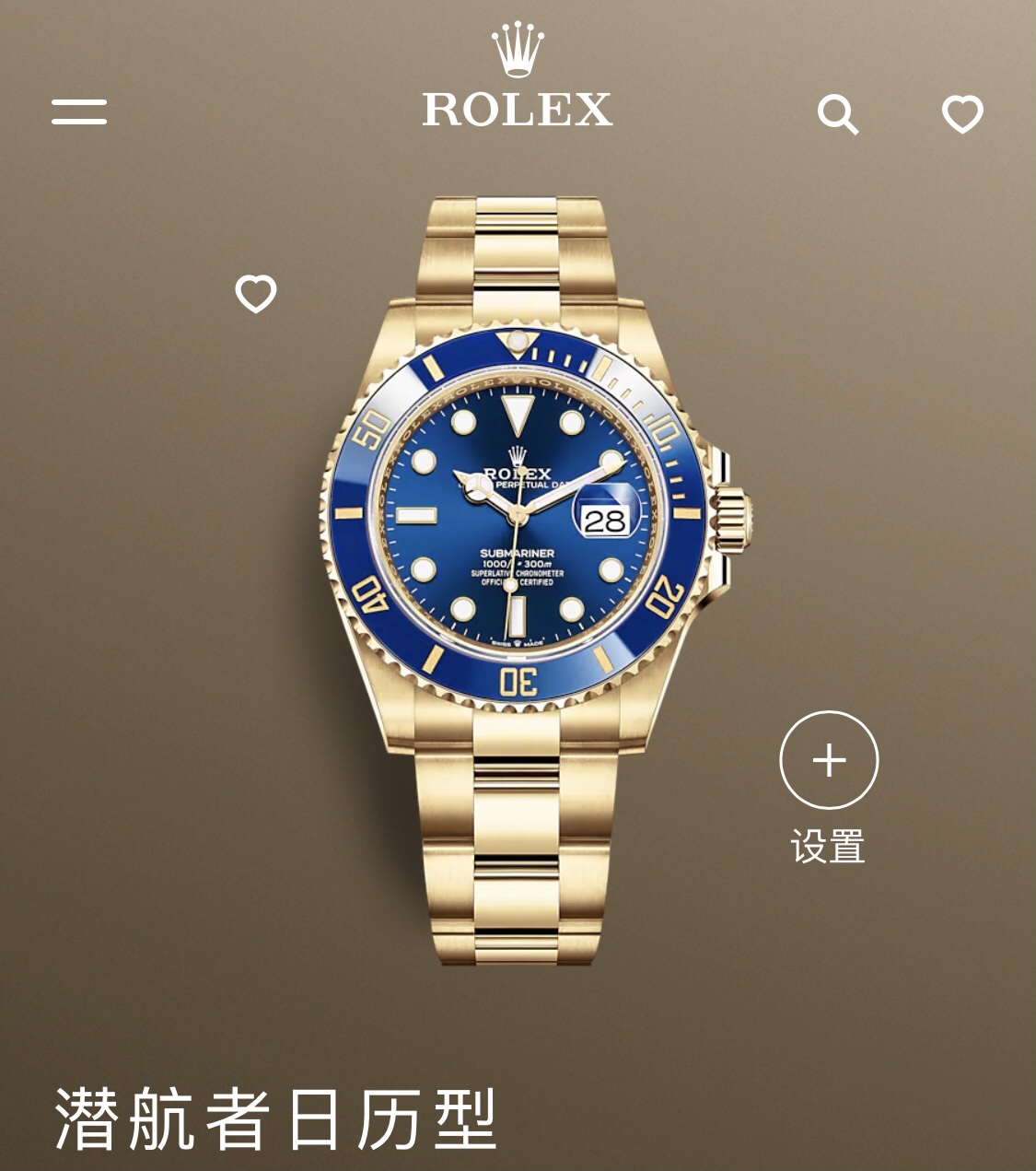 Rolex watch