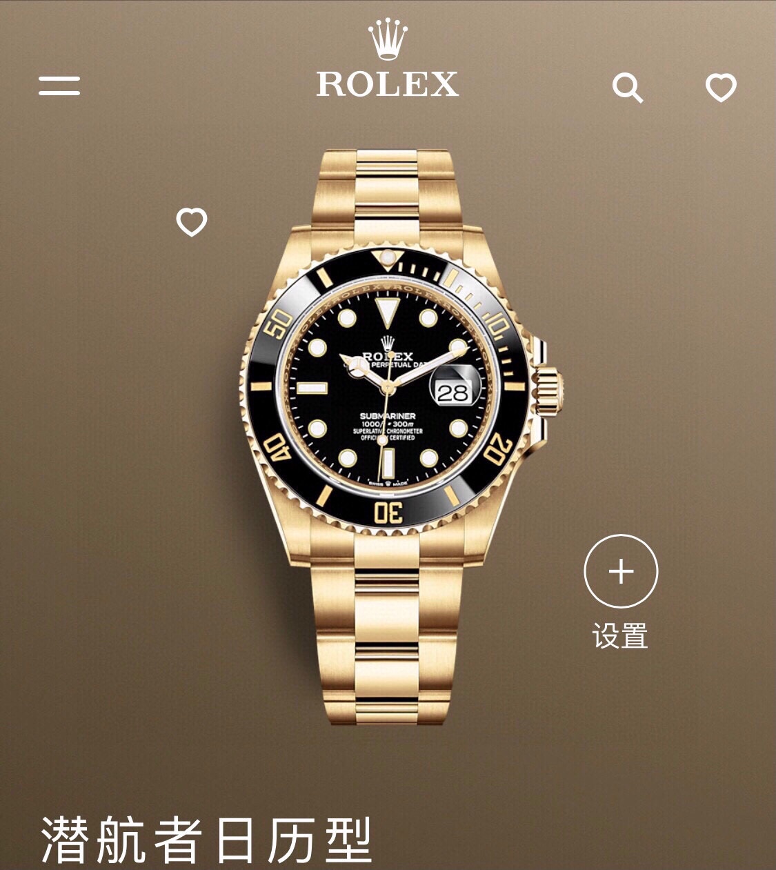 Rolex watch